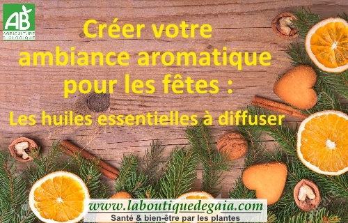 Post ambiance aromatique noel page001