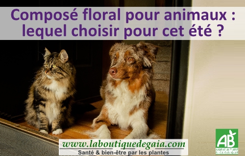 Post cf animaux page001
