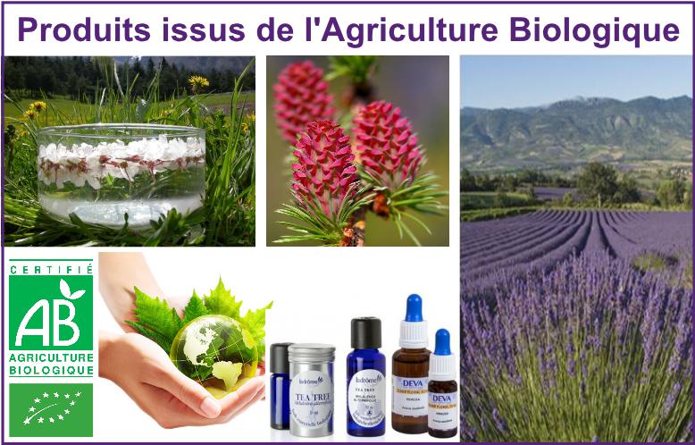 gallerie page accueil - agriculture bio V2-page001