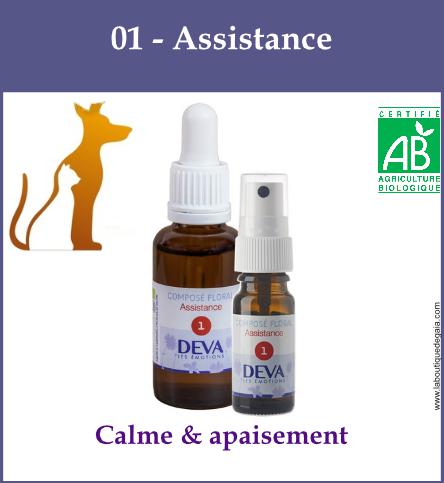01 assistance animaux