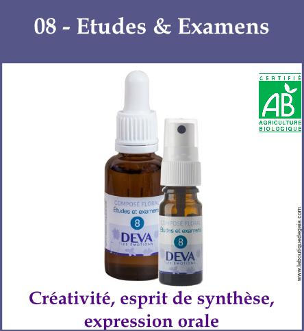 08 etudes et examens 1