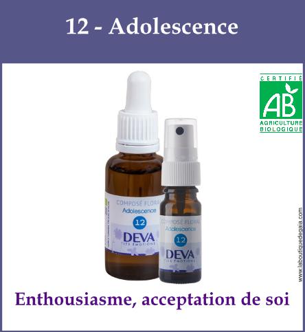 12 adolescence 1