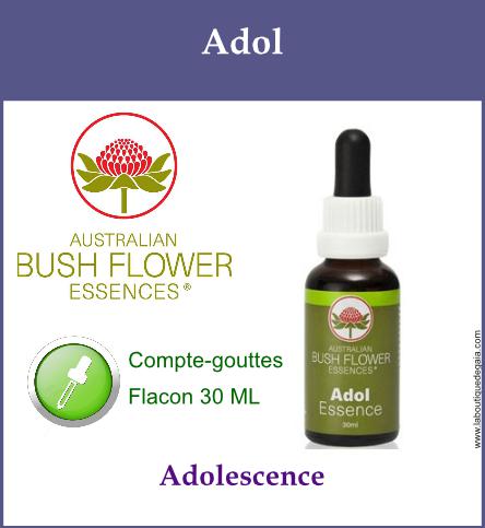 Adol 1
