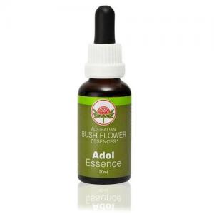 Adol
