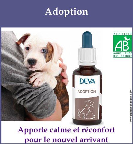 Adoption animaux