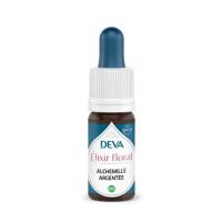 Alchemille argentee 1