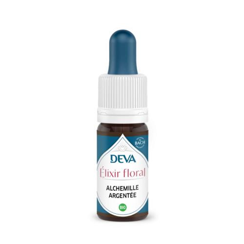 Alchemille argentee 1