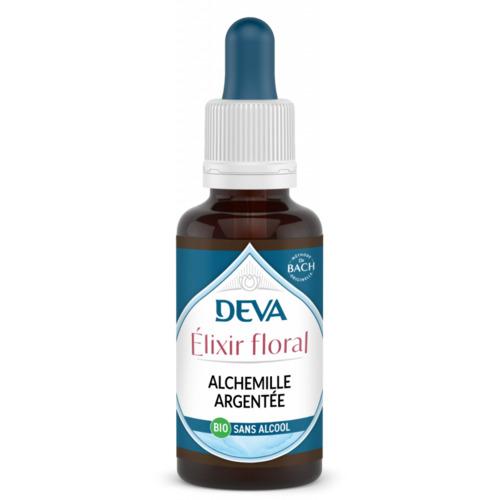 Alchemille argentee 3