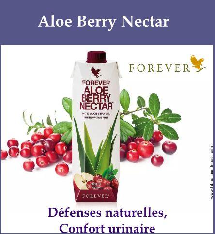 Aloe berry nectar