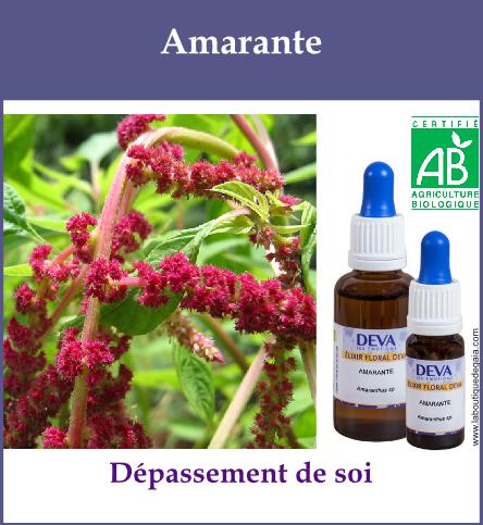 Amarante 2