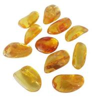 Ambre