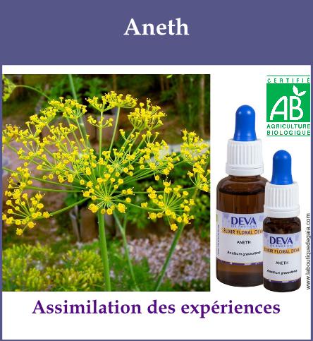Aneth 2