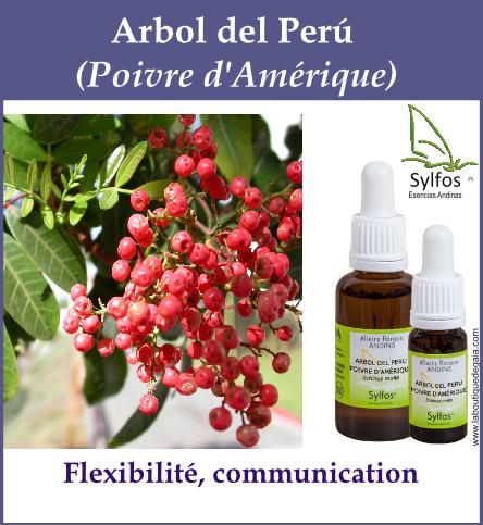Arbol del peru 5