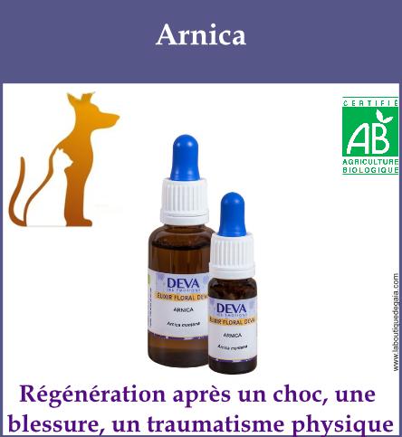 Arnica animaux