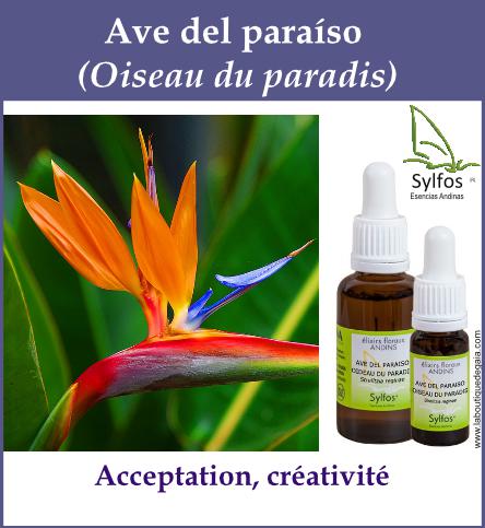 Ave del paraiso 5