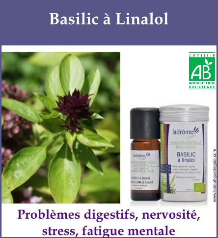 Basilic a linalol