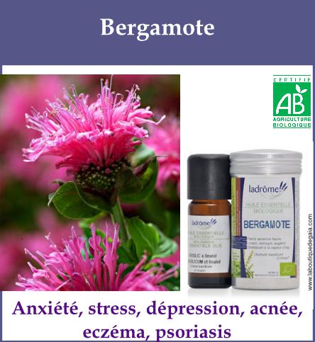 Bergamote