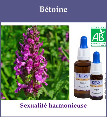 Betoine 2
