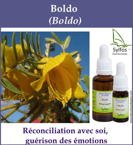 Boldo 5