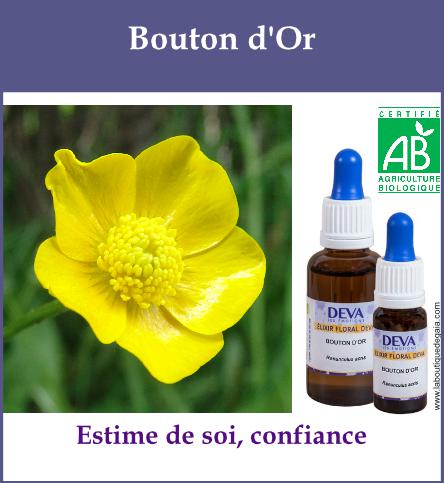 Bouton d or 2