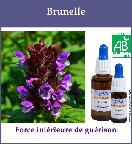 Brunelle 2