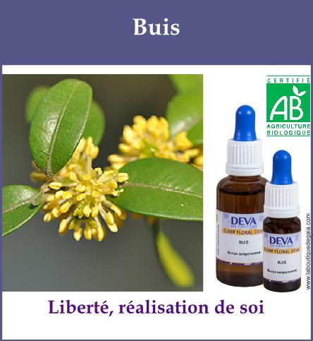 Buis 2