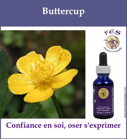Buttercup