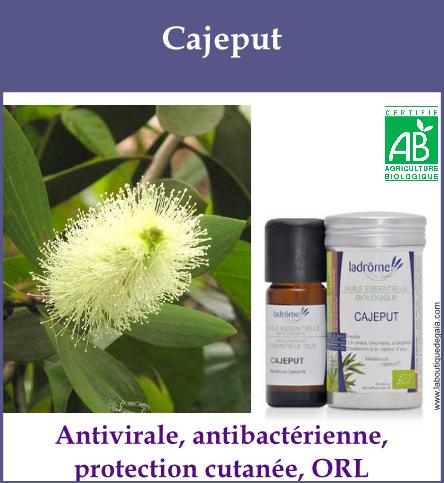 Cajeput