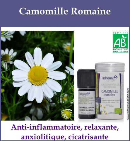 Camomille romaine