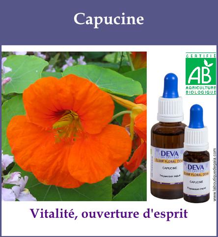 Capucine 2