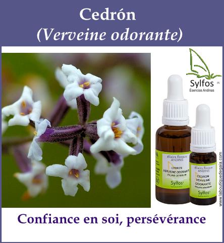 Cedron 5