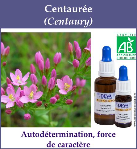 Centauree 4