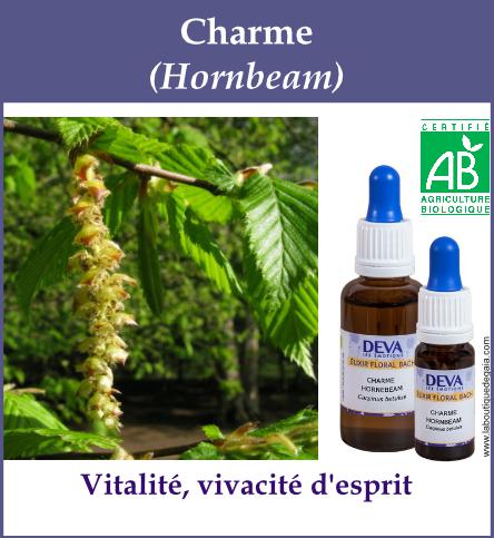 Charme 4