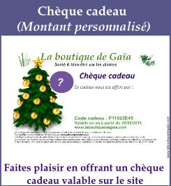 Cheque cadeau personnalise noel 9