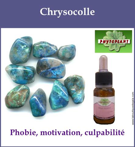Chrysocolle