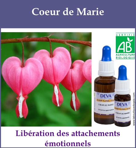 Coeur de marie 2