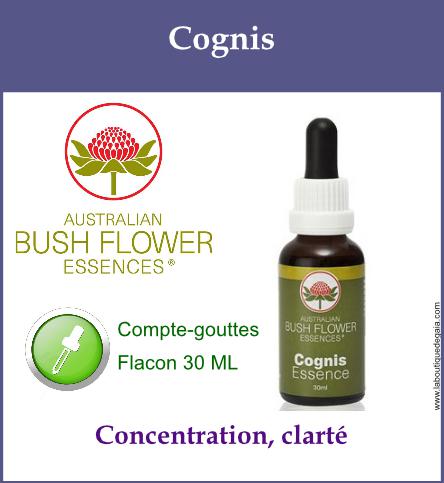 Cognis 1