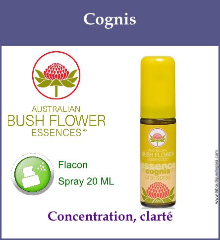 Cognis spray 1