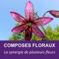 Composes floraux survol 07