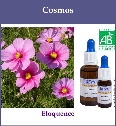 Cosmos 2