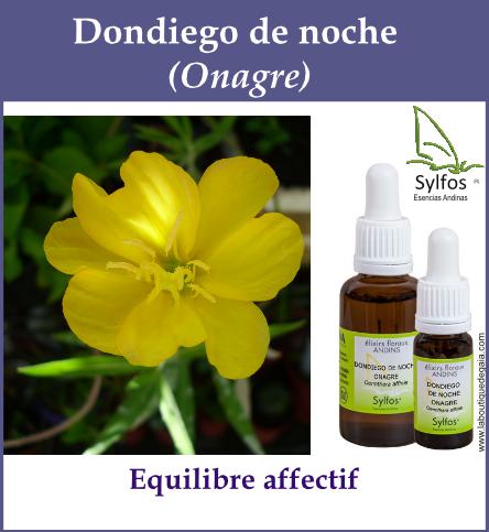 Dondiego de noche 5