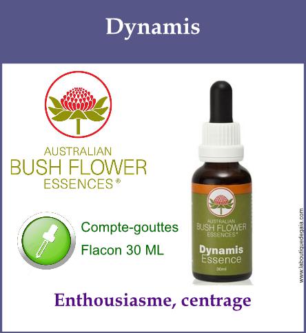 Dynamis 1
