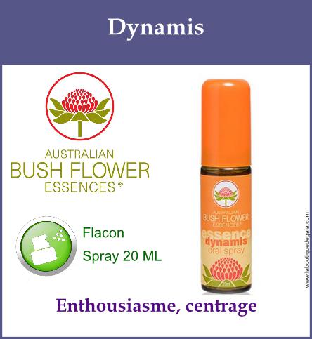 Dynamis spray 1