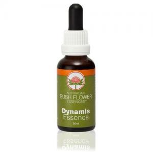 Dynamis