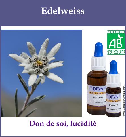 Edelweiss 2