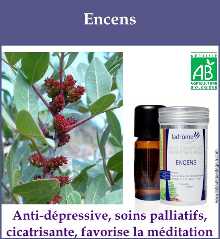 Encens
