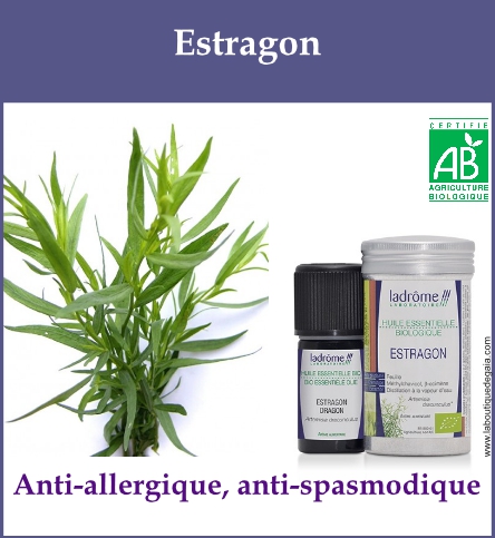 Estragon