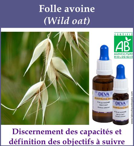 Folle avoine 4