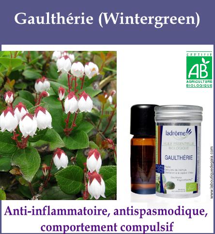 Gaultherie