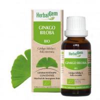 Ge ginkgo biloba